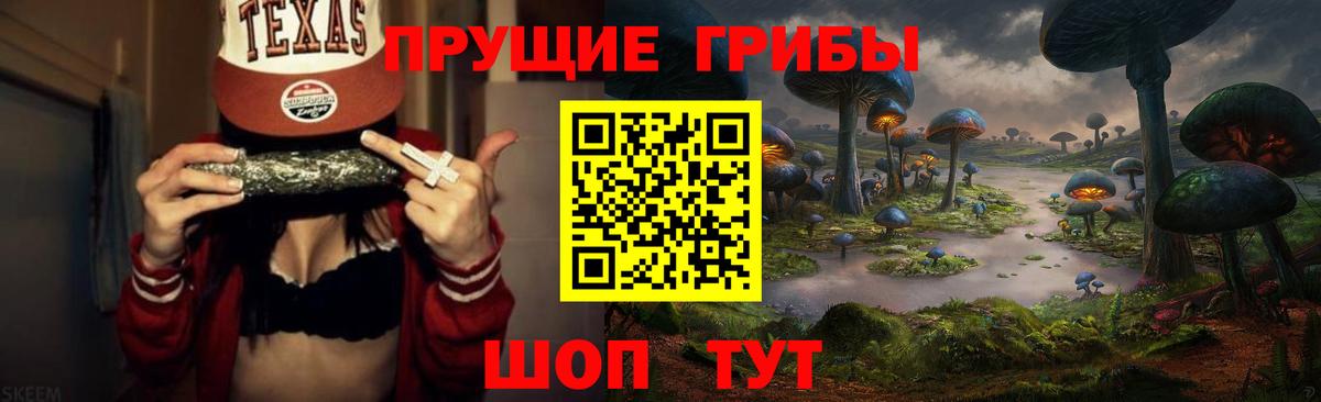 Обнинск  Псилоцибиновые грибы Magic Shrooms  где купить наркоту  Вход с VPN 